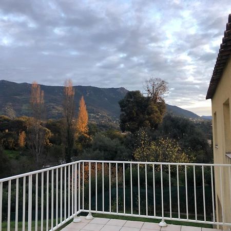 Superbe Appartement Vue Montagne Proximites Grandes Surfaces Poggi Eksteriør billede
