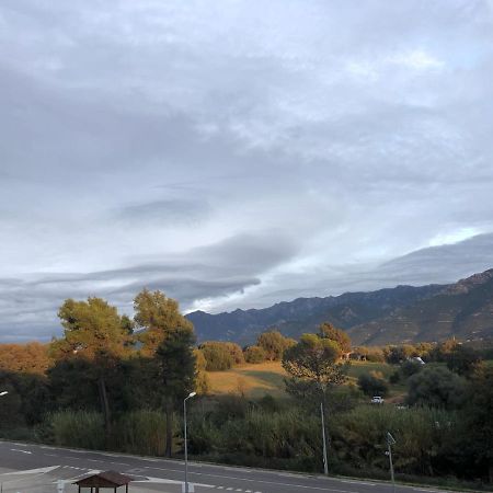 Superbe Appartement Vue Montagne Proximites Grandes Surfaces Poggi Eksteriør billede